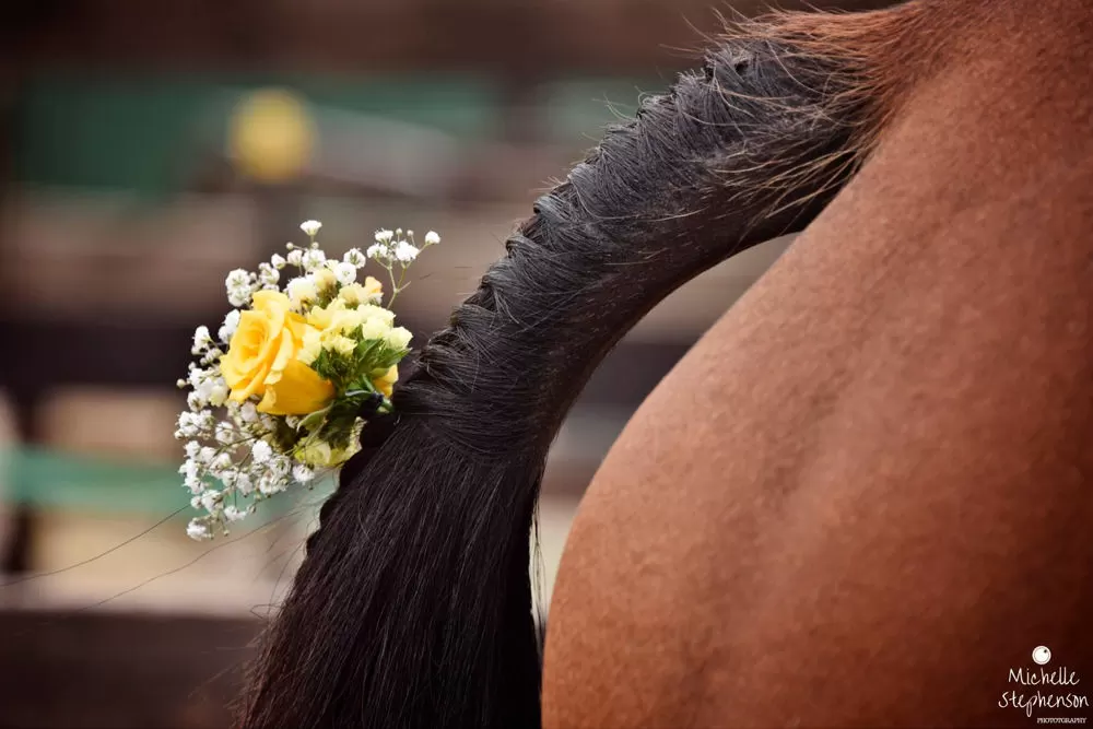 Mentett lovak az álomesküvőn