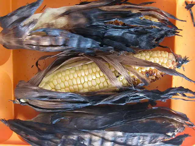 Grill kukorica