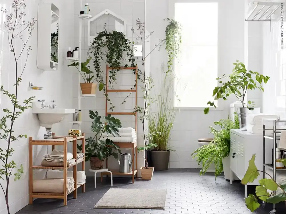 Fürdőszoba növényekkel