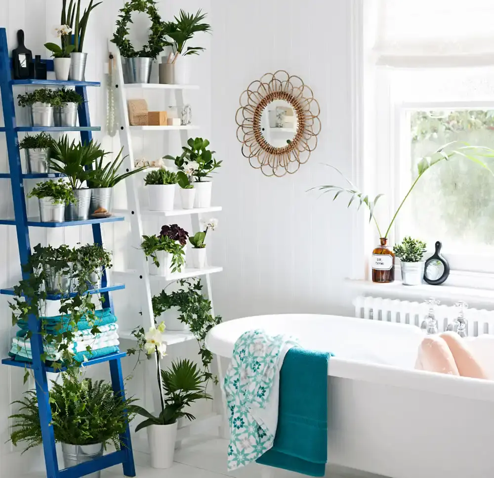 Fürdőszoba növényekkel