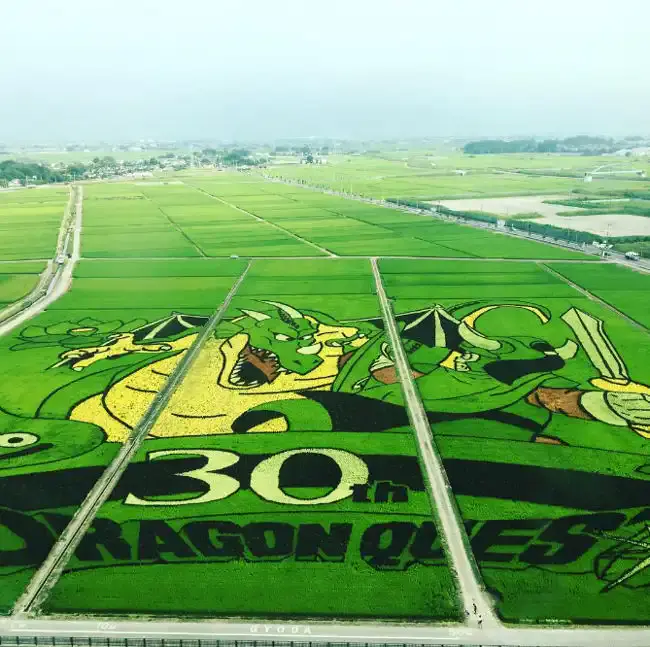 Mintás rizsföld Japánban