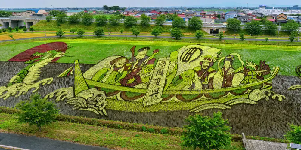 Mintás rizsföld Japánban