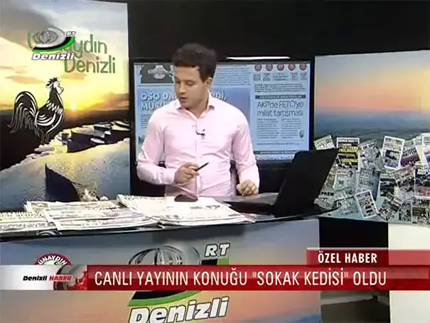 Kóbor macska a török tv-ben