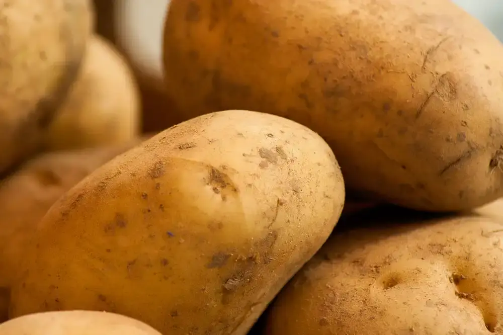 Növényvédőszeres krumplit vontak ki