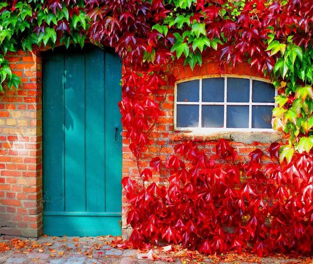 27 fotó a meseszép őszről