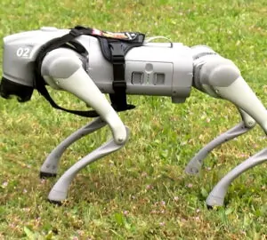 Kutyaszív helyett chip és vas? – Robotkutyával tanítaná a külvárosi önkormányzat a felelős állattartást