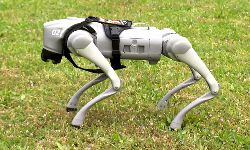 Kutyaszív helyett chip és vas? – Robotkutyával tanítaná a külvárosi önkormányzat a felelős állattartást