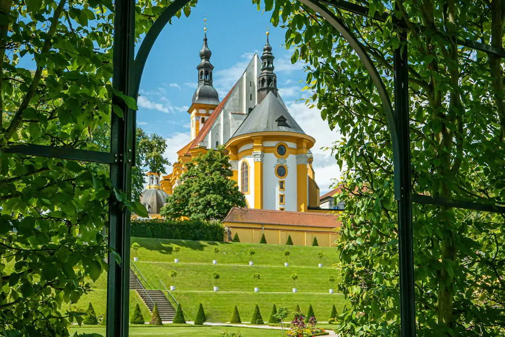 A metszés tudománya