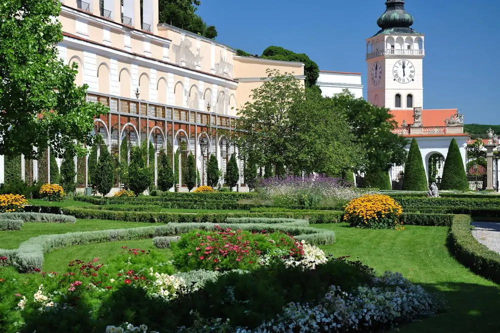 A metszés tudománya