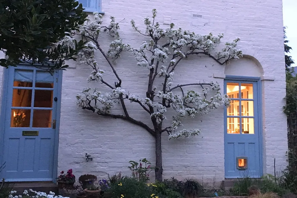 A metszés tudománya