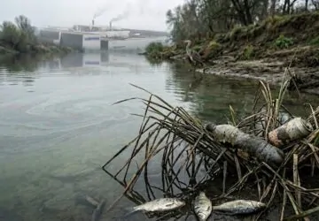 Mérgező vizek, csendes pusztulás