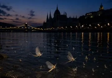 Budapest lekapcsolta a díszkivilágítást