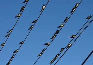 A kerted fölött most zajlik az egyik legnagyobb utazás a Földön